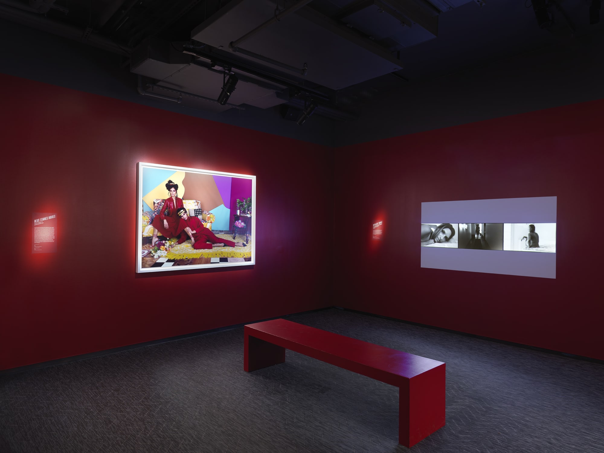 Mickalene Thomas: BLACK VENUS Curated by Aindrea Emelife