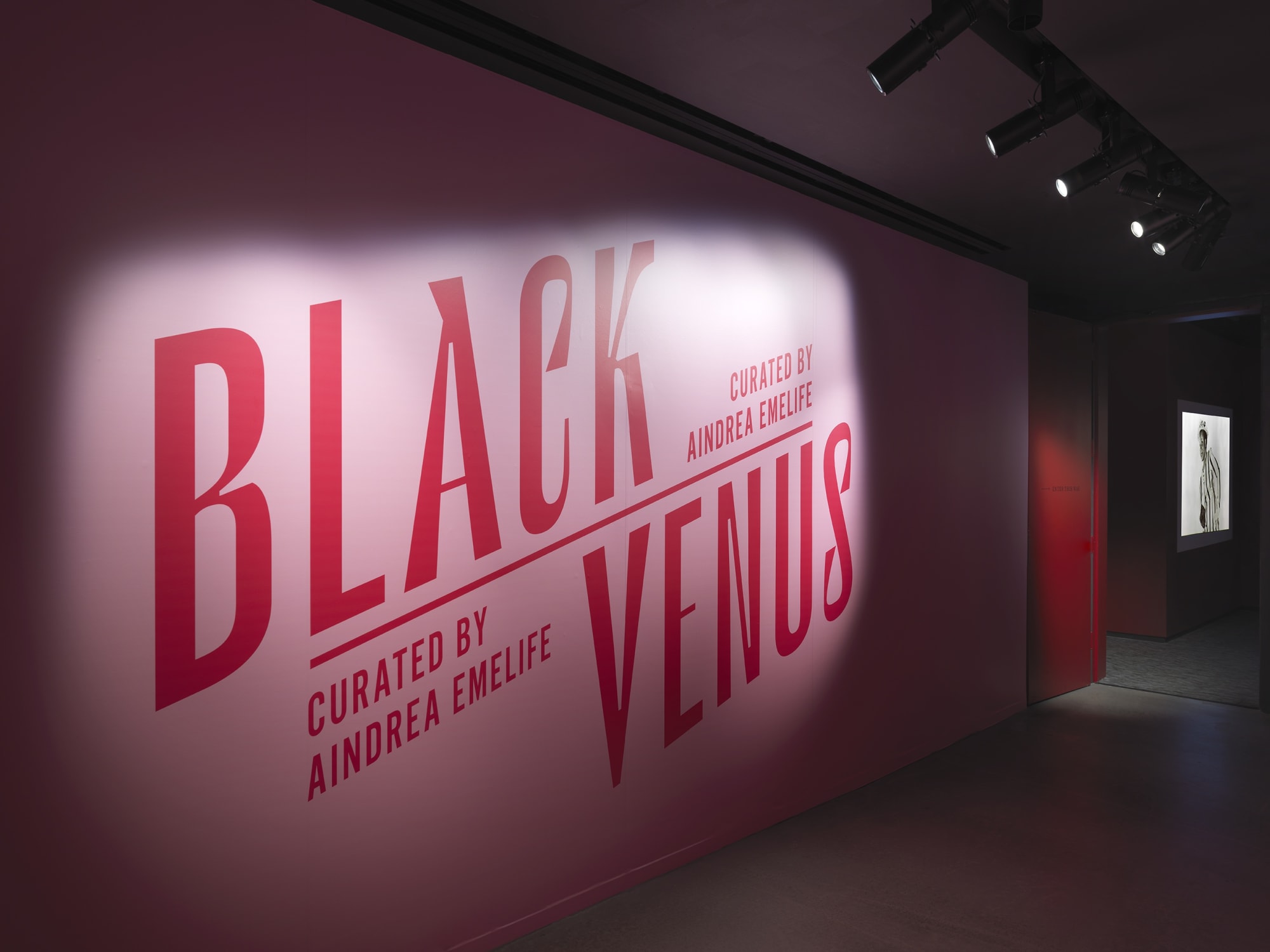 Mickalene Thomas: BLACK VENUS Curated by Aindrea Emelife