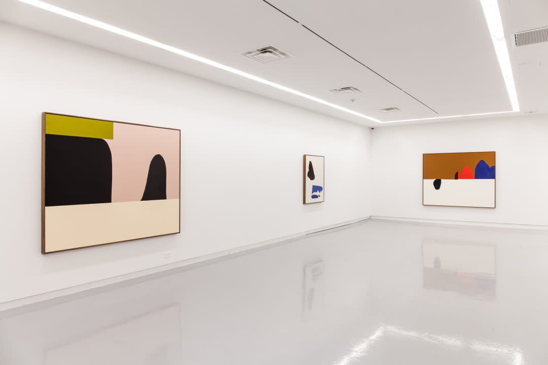 Clare Rojas, Everyone Has Those Spaces