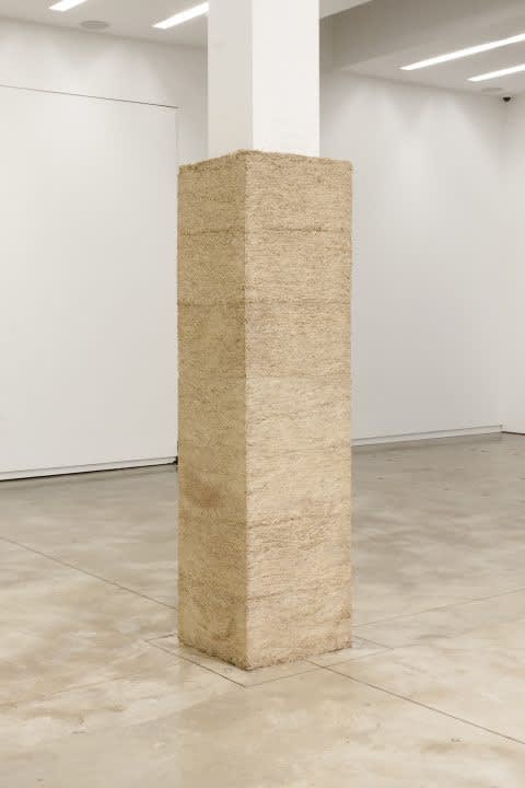 Manish Nai, Manish Nai