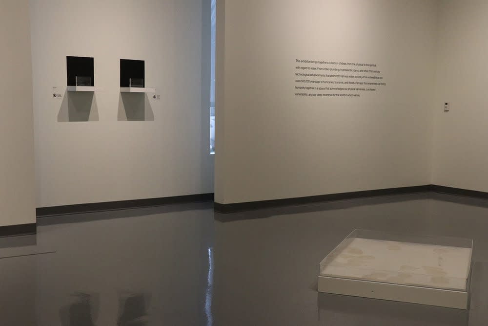 Miya Ando in in their element