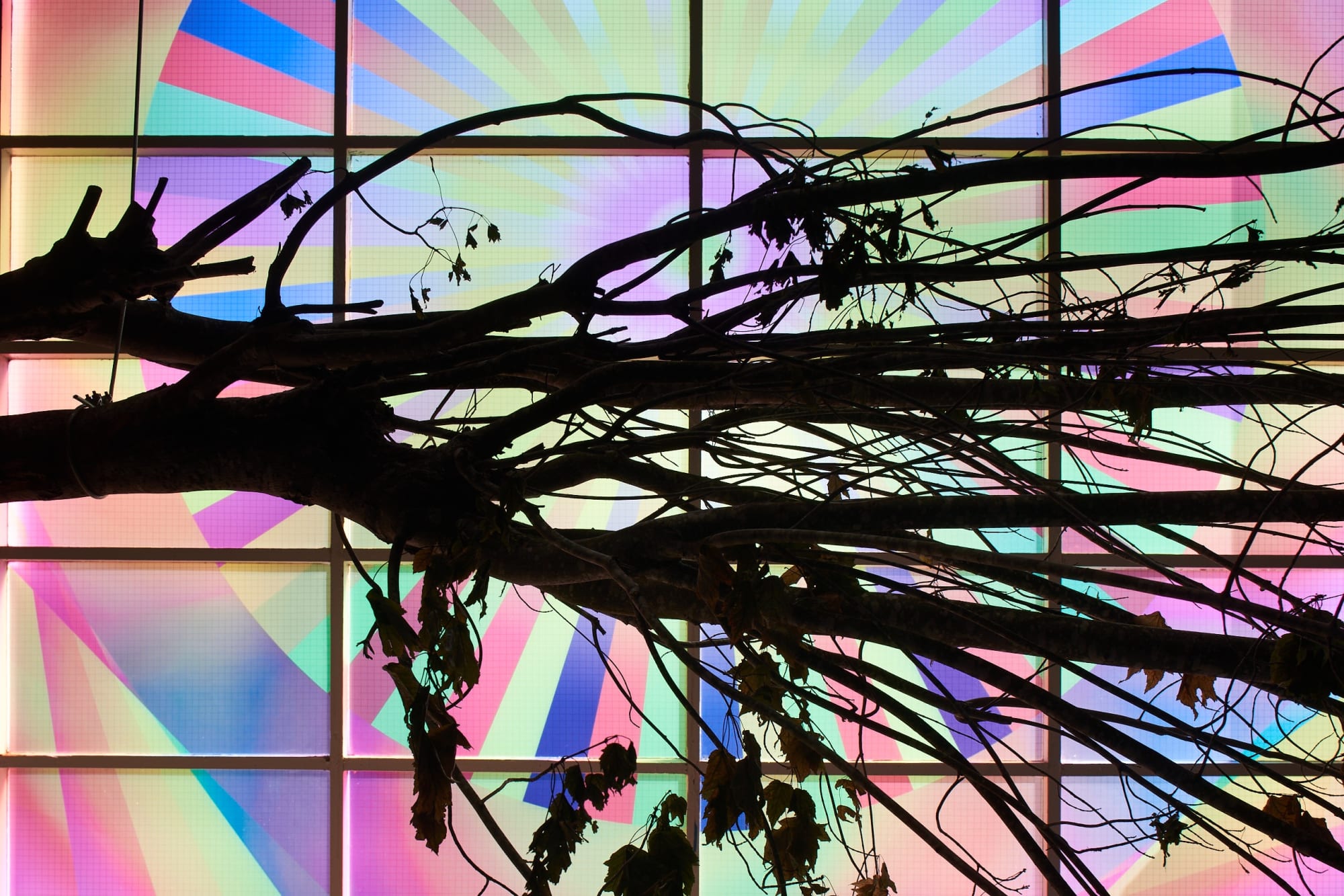 Jeffrey Gibson, THIS BURNING WORLD