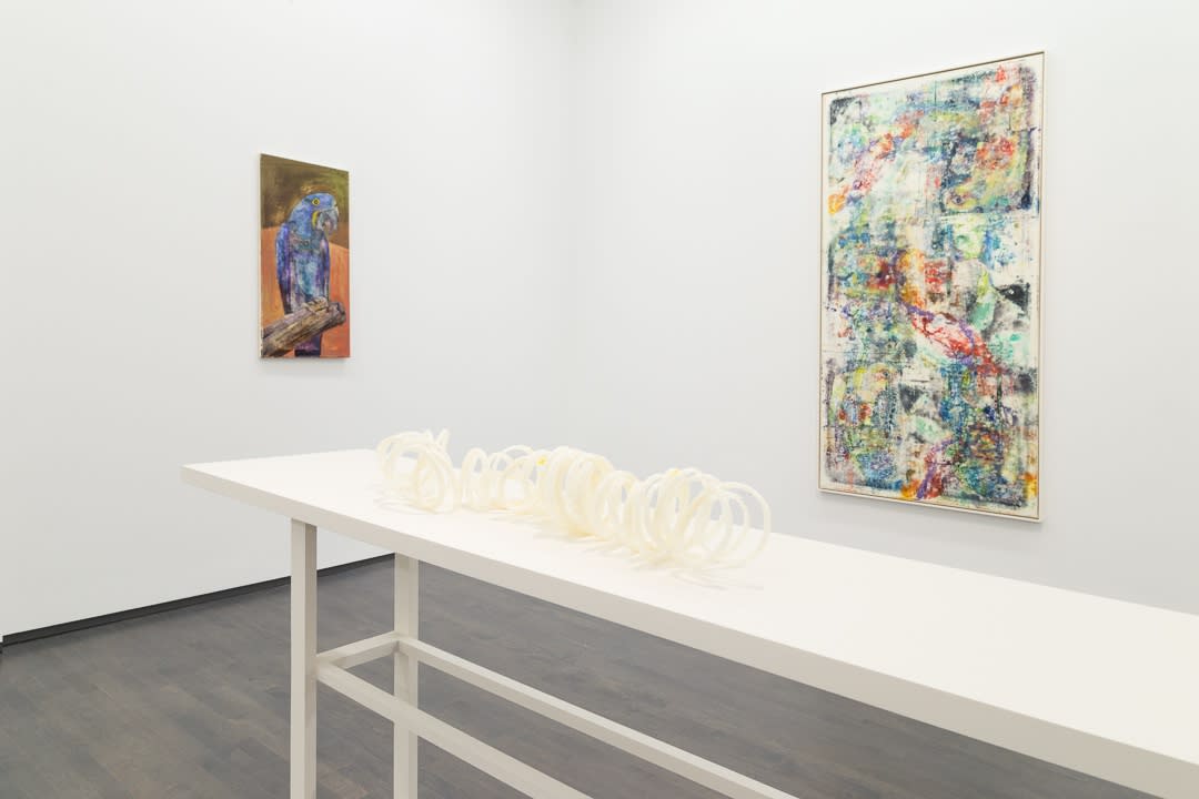 James Krone, An Ornithology For Birds