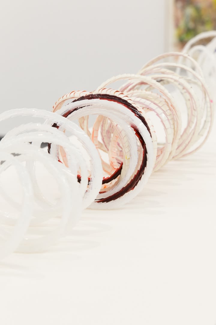 James Krone, An Ornithology For Birds