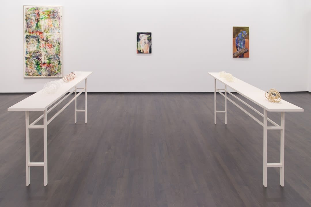 James Krone, An Ornithology For Birds