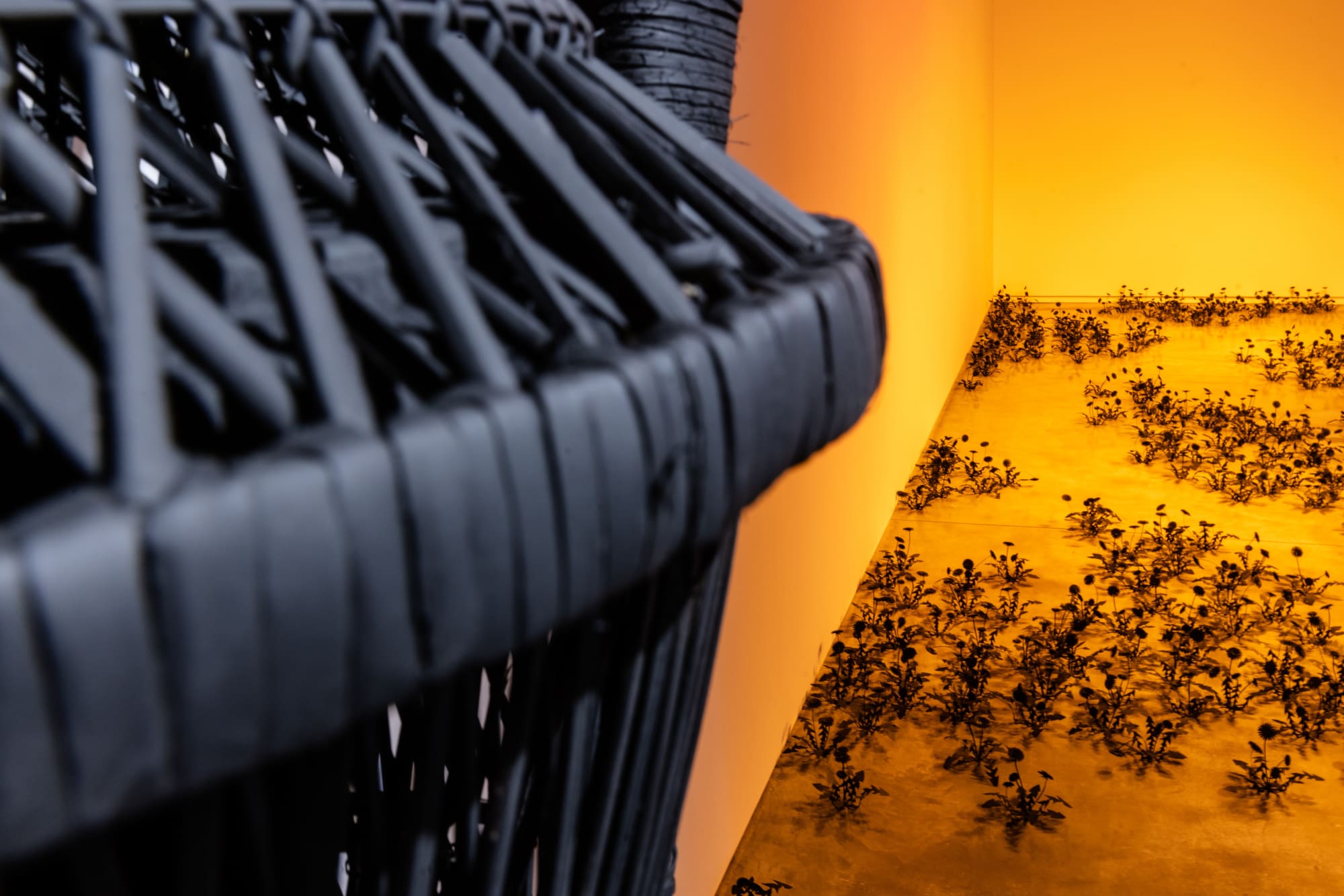 Esmaa Mohamoud: Let Them Consume Me In The Light