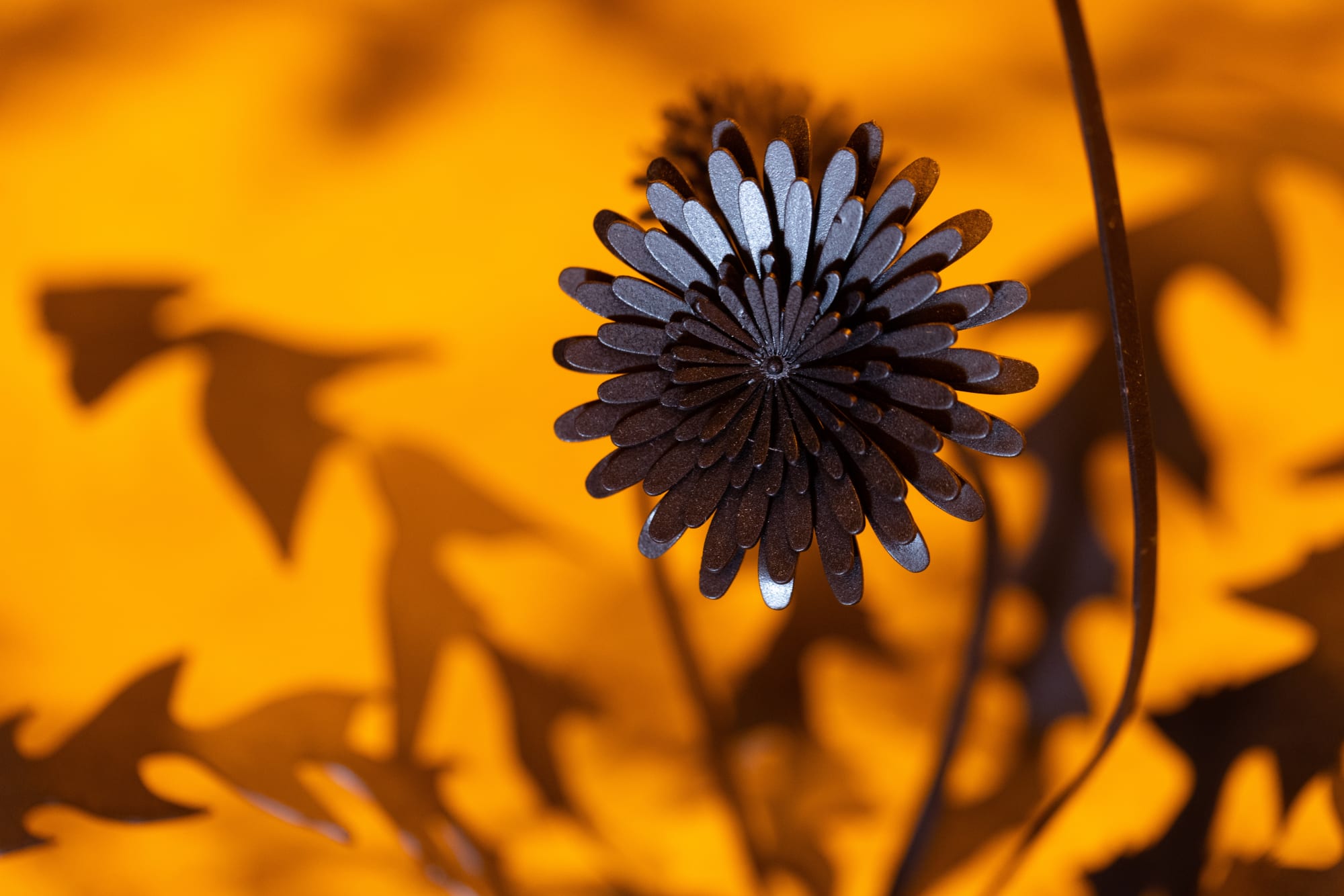 Esmaa Mohamoud: Let Them Consume Me In The Light