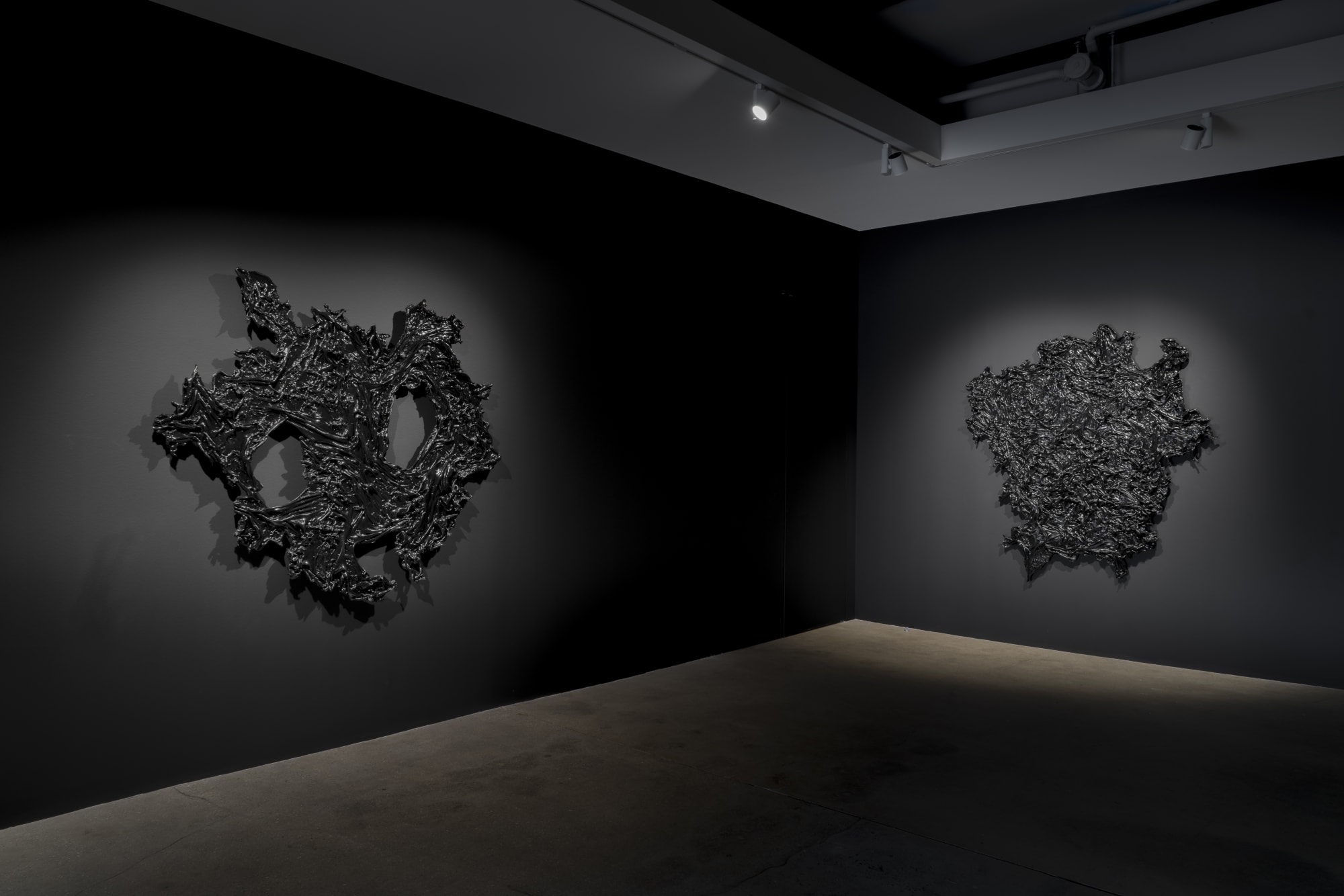 Allana Clarke: I Feel Everything