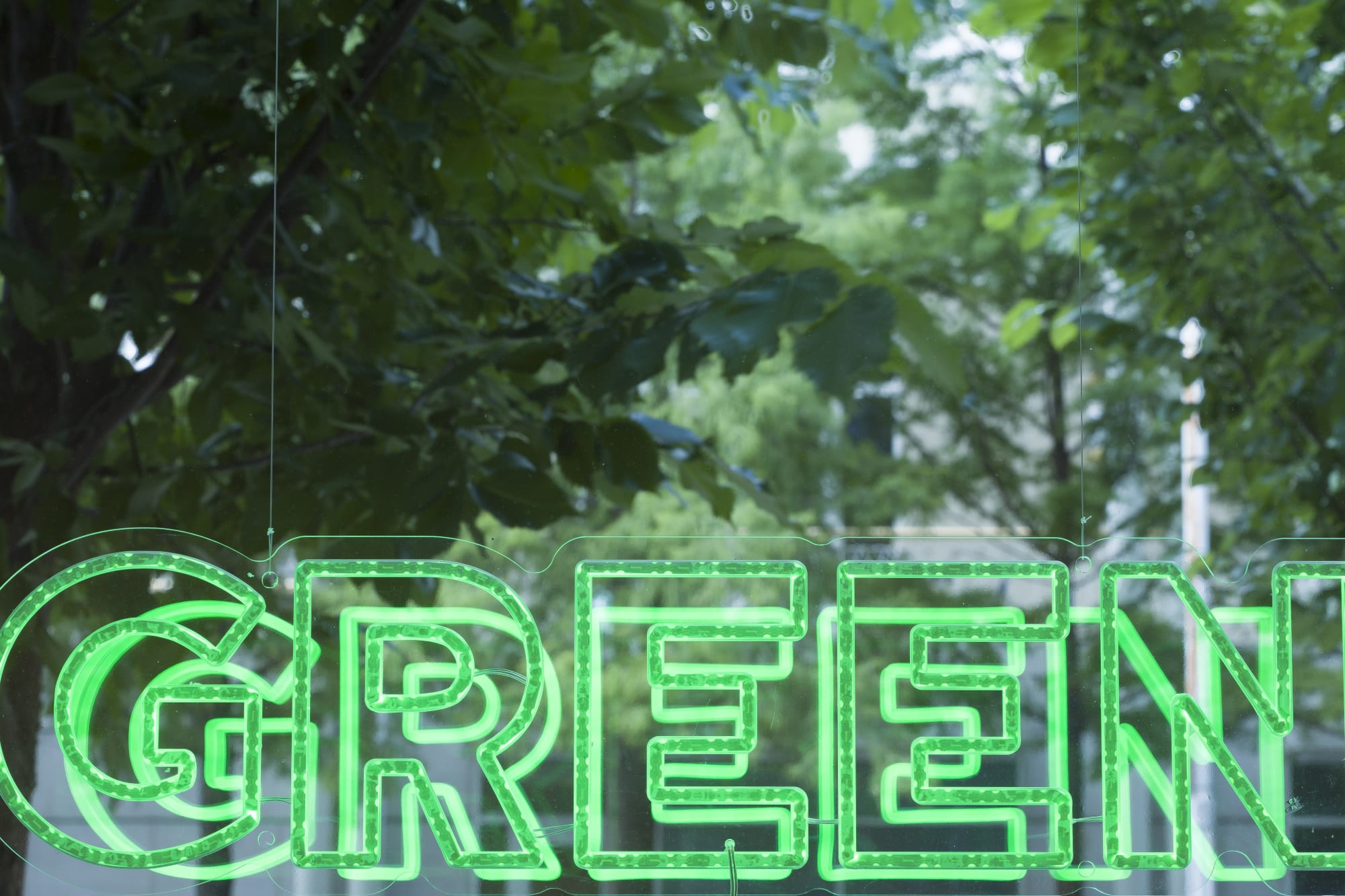 Devan Shimoyama: Full and Pure: Body, Materiality