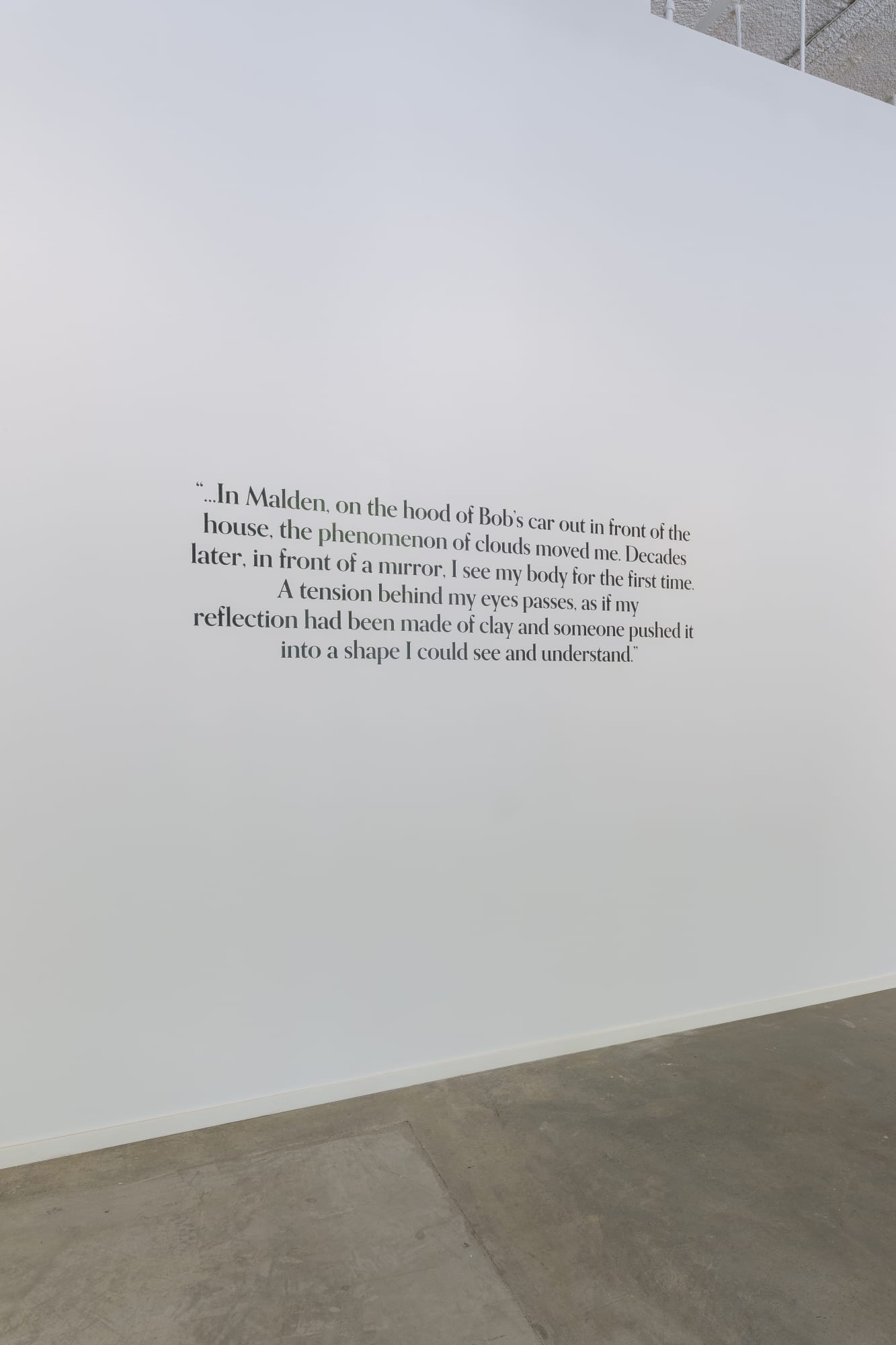 Devan Shimoyama: Full and Pure: Body, Materiality