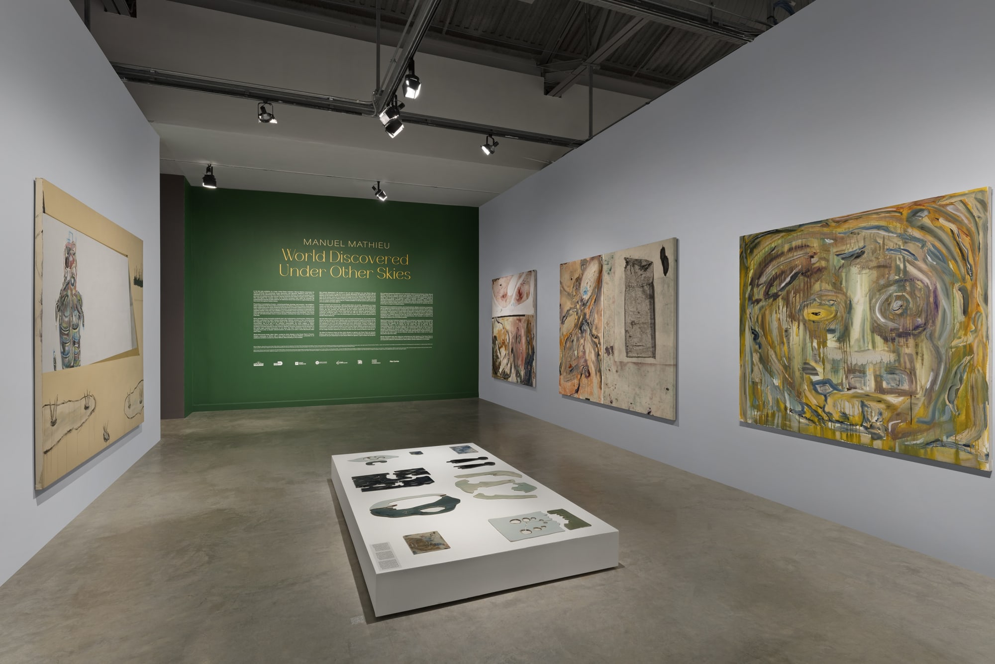 Manuel Mathieu: World Discovered Under Other Skies | Dwelling on the Invisible