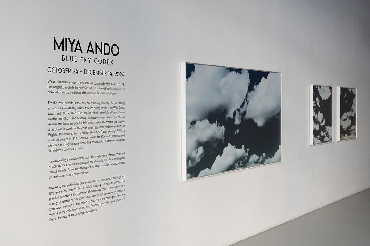 Miya Ando: Blue Sky Codex