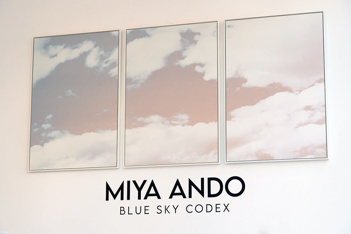 Miya Ando: Blue Sky Codex