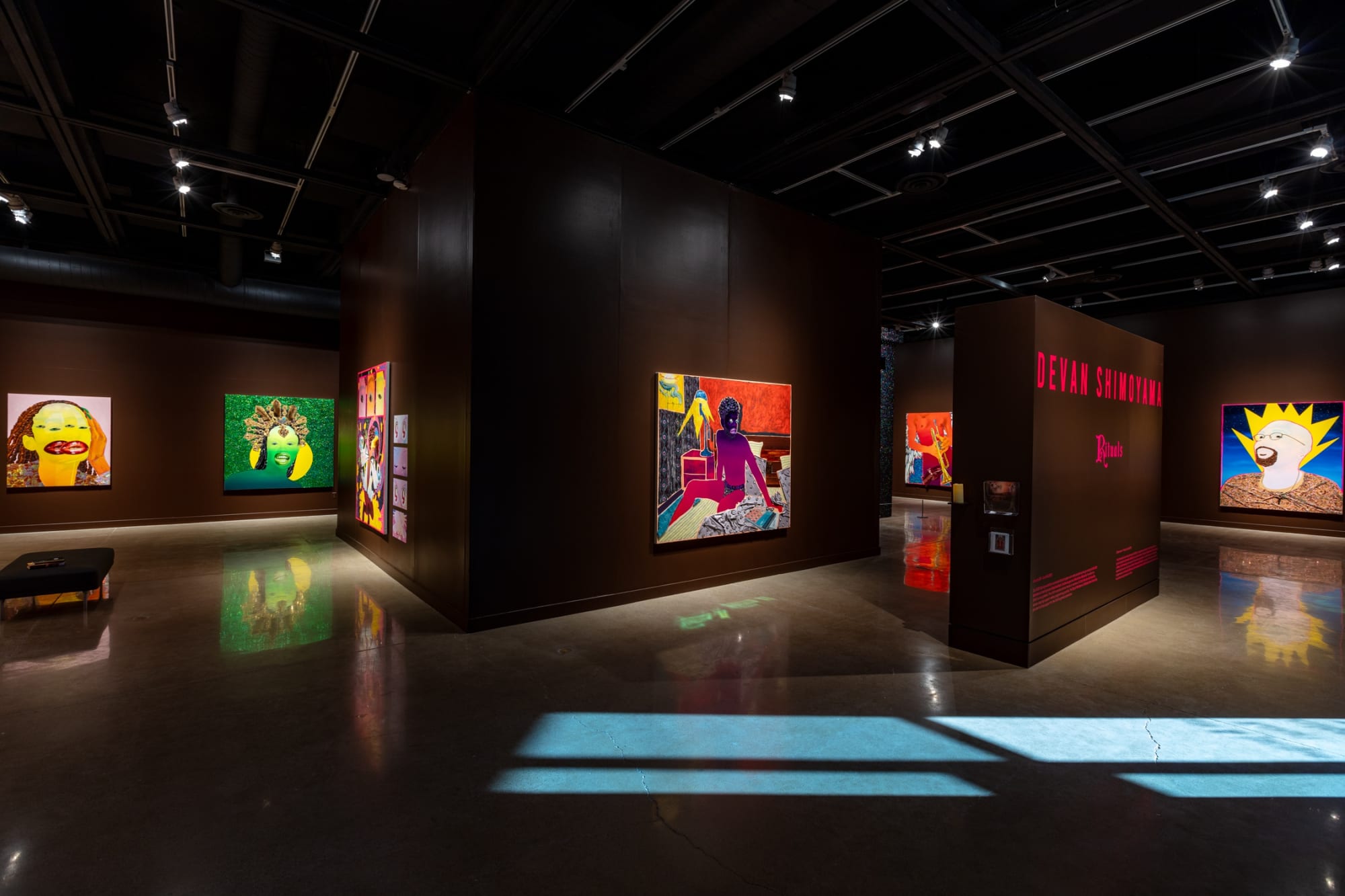 Devan Shimoyama: Rituals