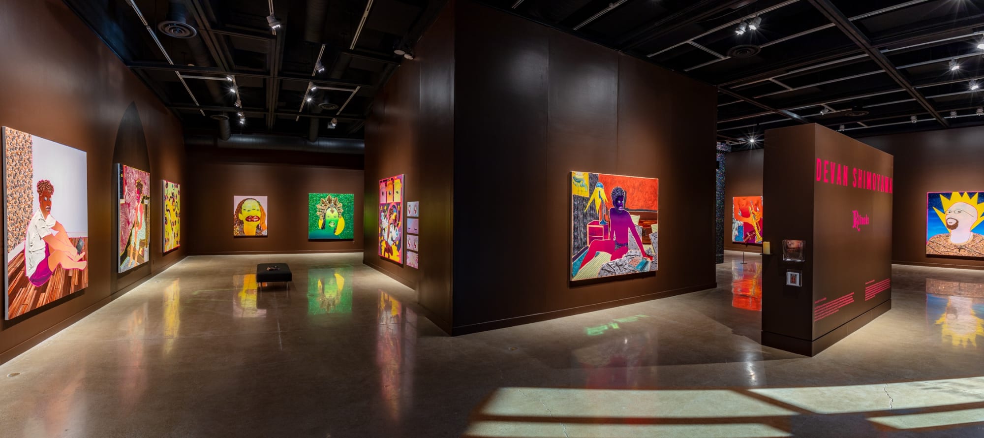 Devan Shimoyama: Rituals