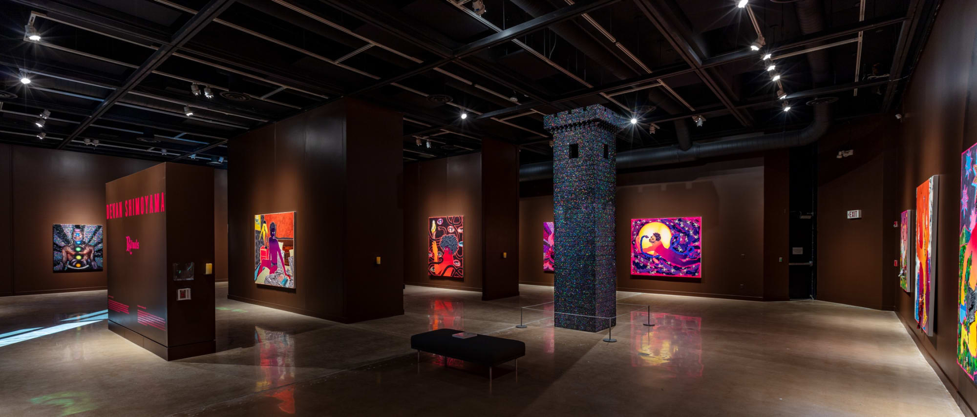 Devan Shimoyama: Rituals