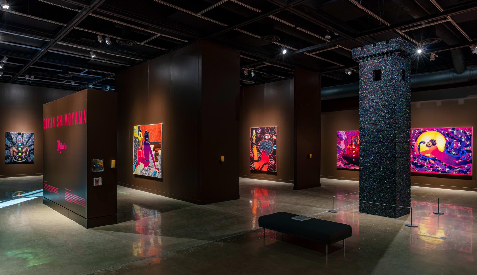 Devan Shimoyama: Rituals