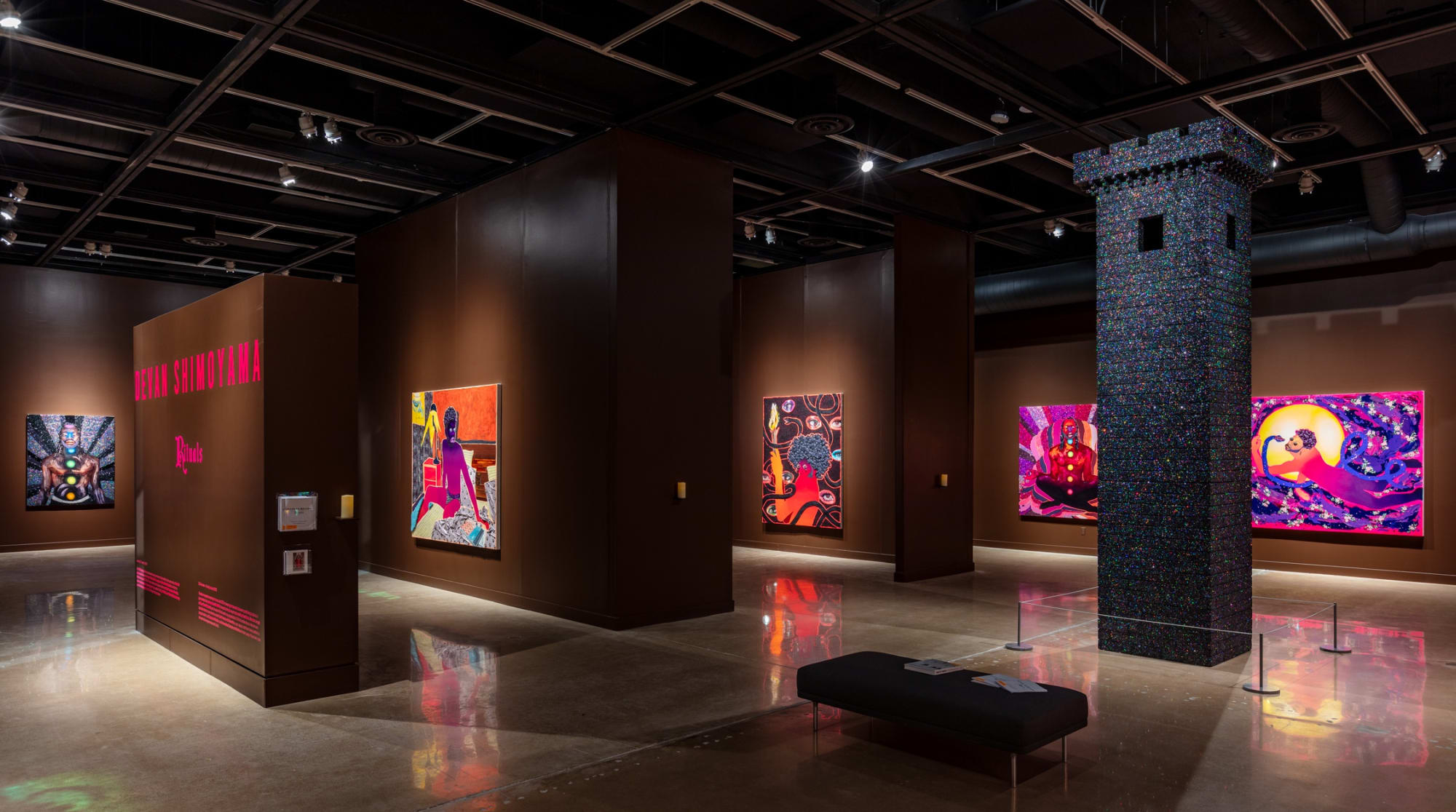 Devan Shimoyama: Rituals