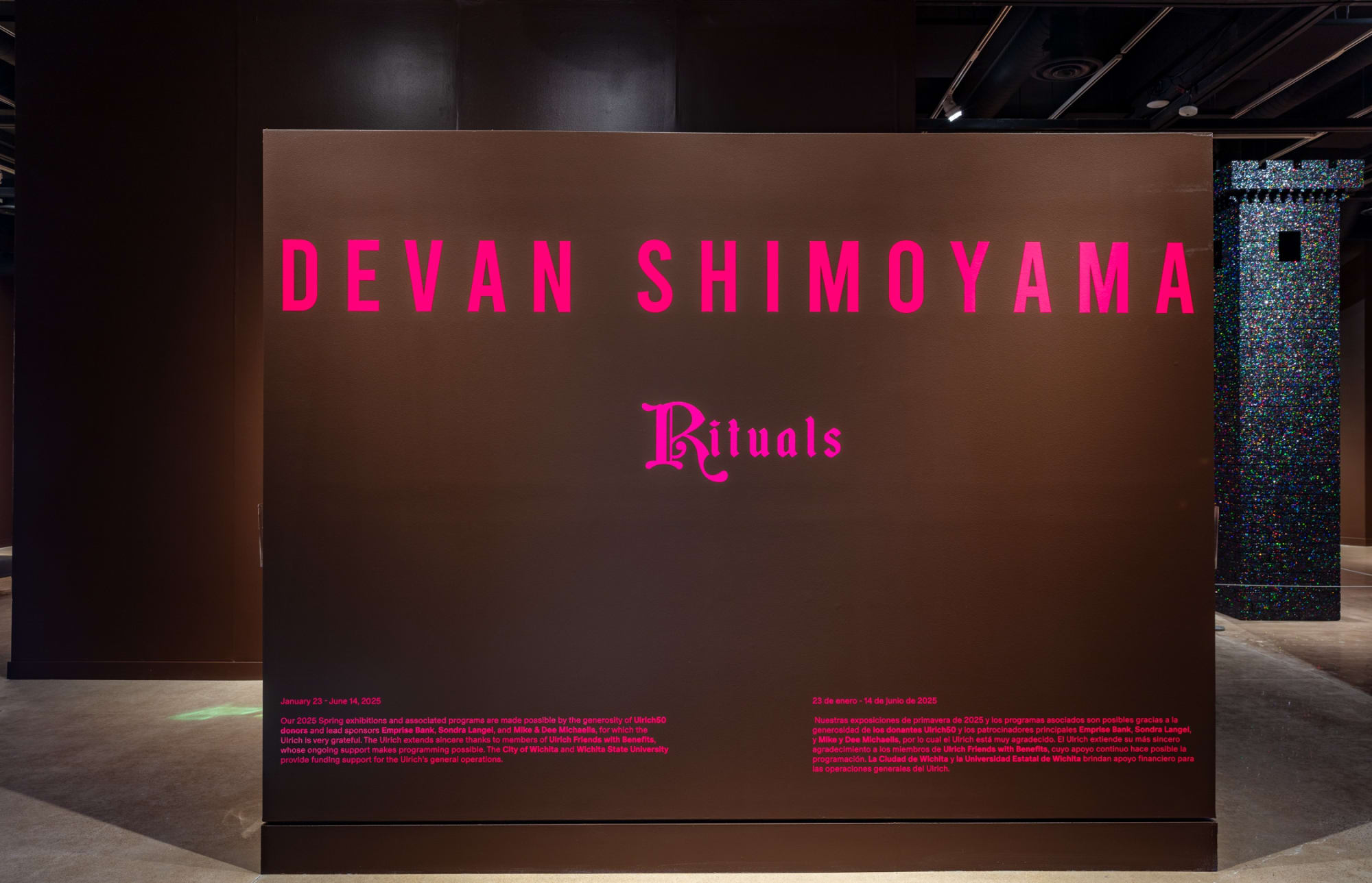 Devan Shimoyama: Rituals