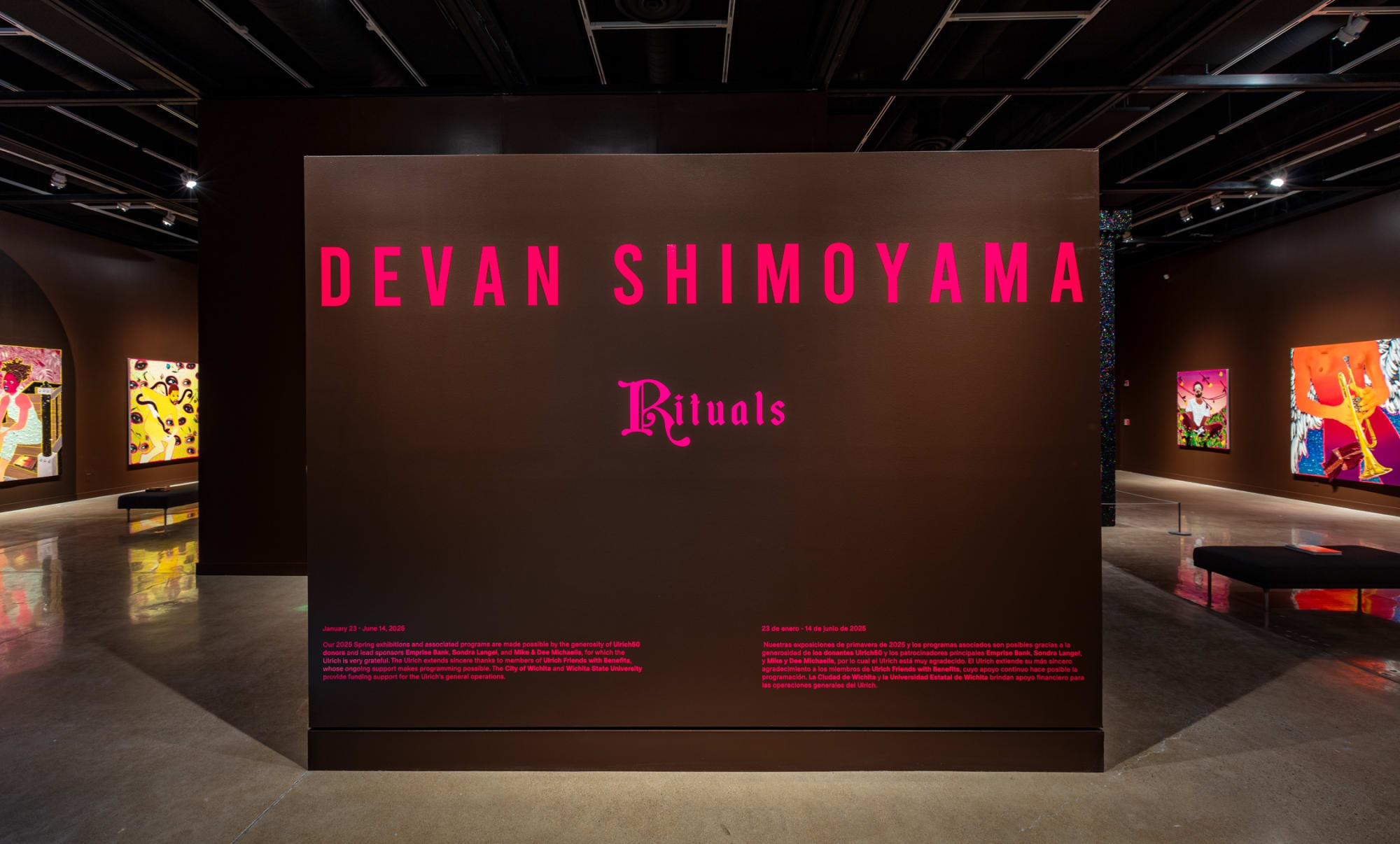 Devan Shimoyama: Rituals