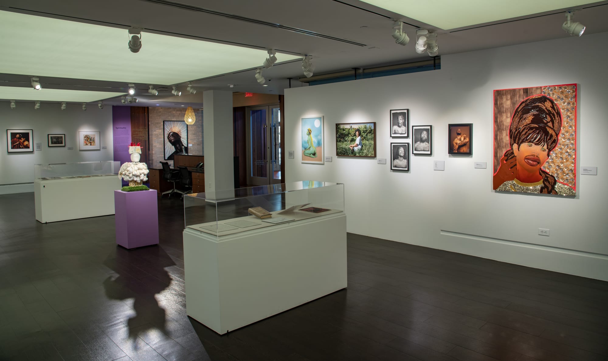 Devan Shimoyama: Transcendence: A Century of Black Queer Ecstasy, 1924–2024