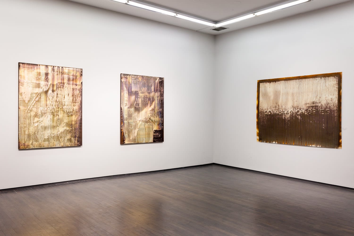 Project: Michael Joo