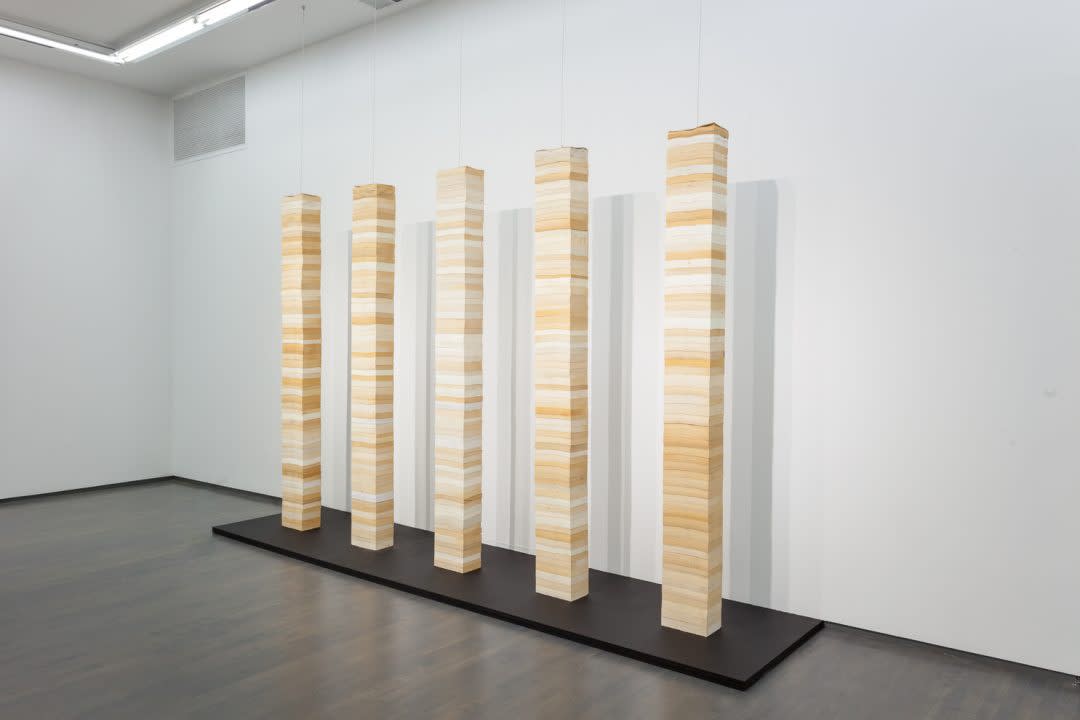 Manish Nai, A History Of Gestures