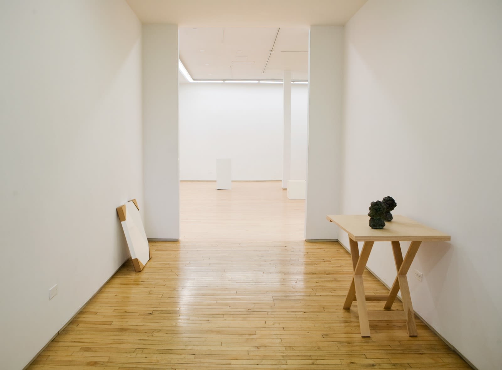 Tony Tasset, Selected Works From 1986-1996