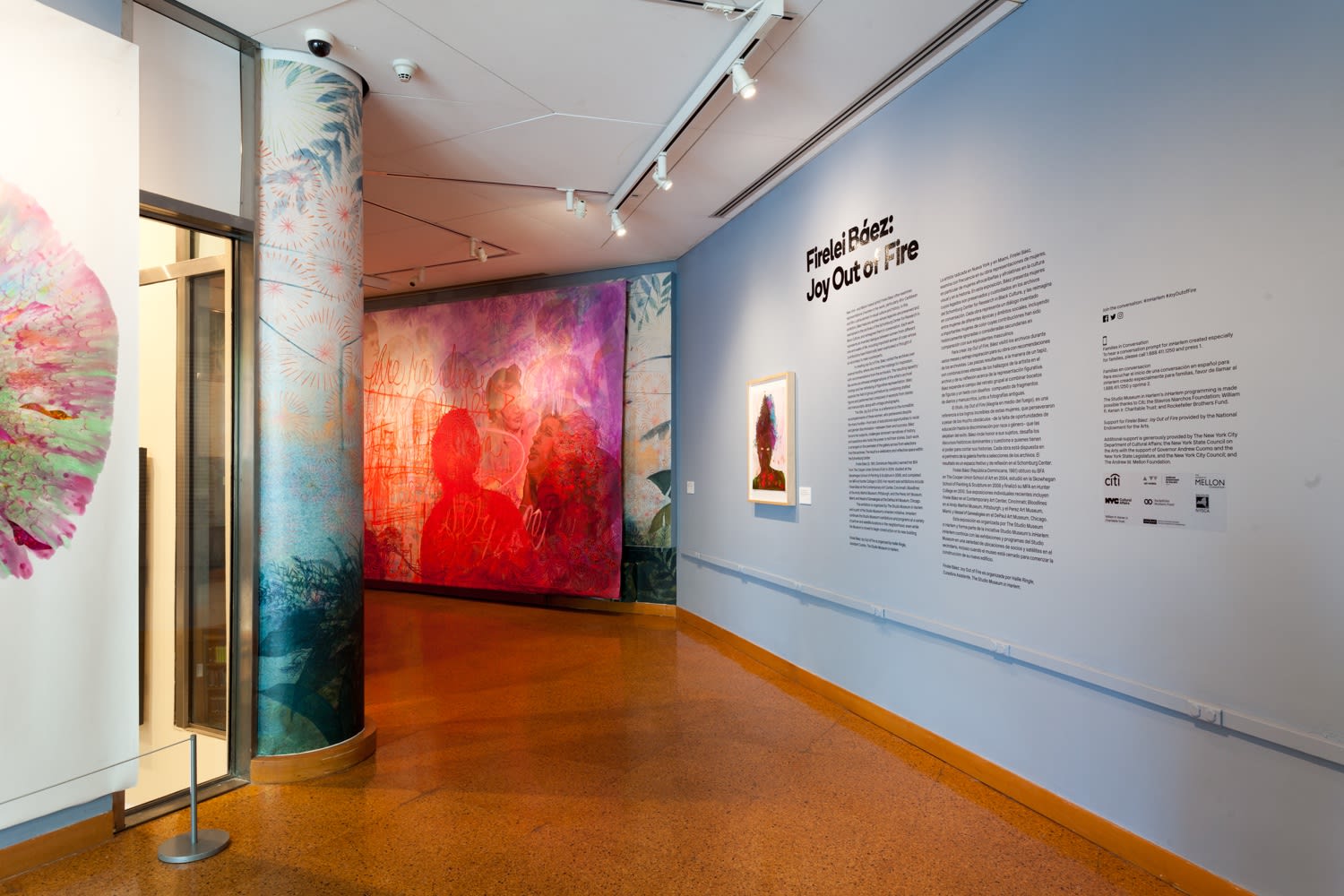 Firelei Báez, Joy Out Of Fire