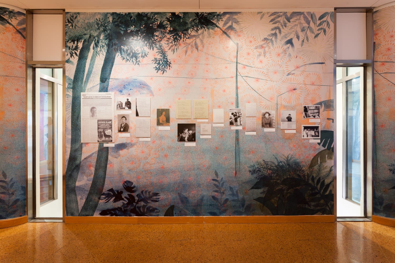 Firelei Báez, Joy Out Of Fire