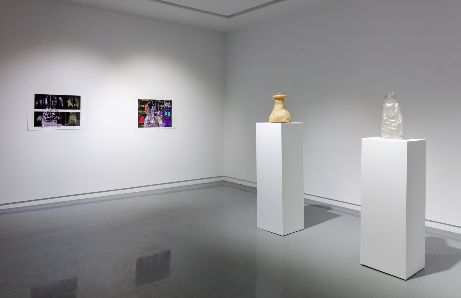 Installation View, Michael Joo, Sensory Meridian, Kavi Gupta | 219 N. Elizabeth St., 2021