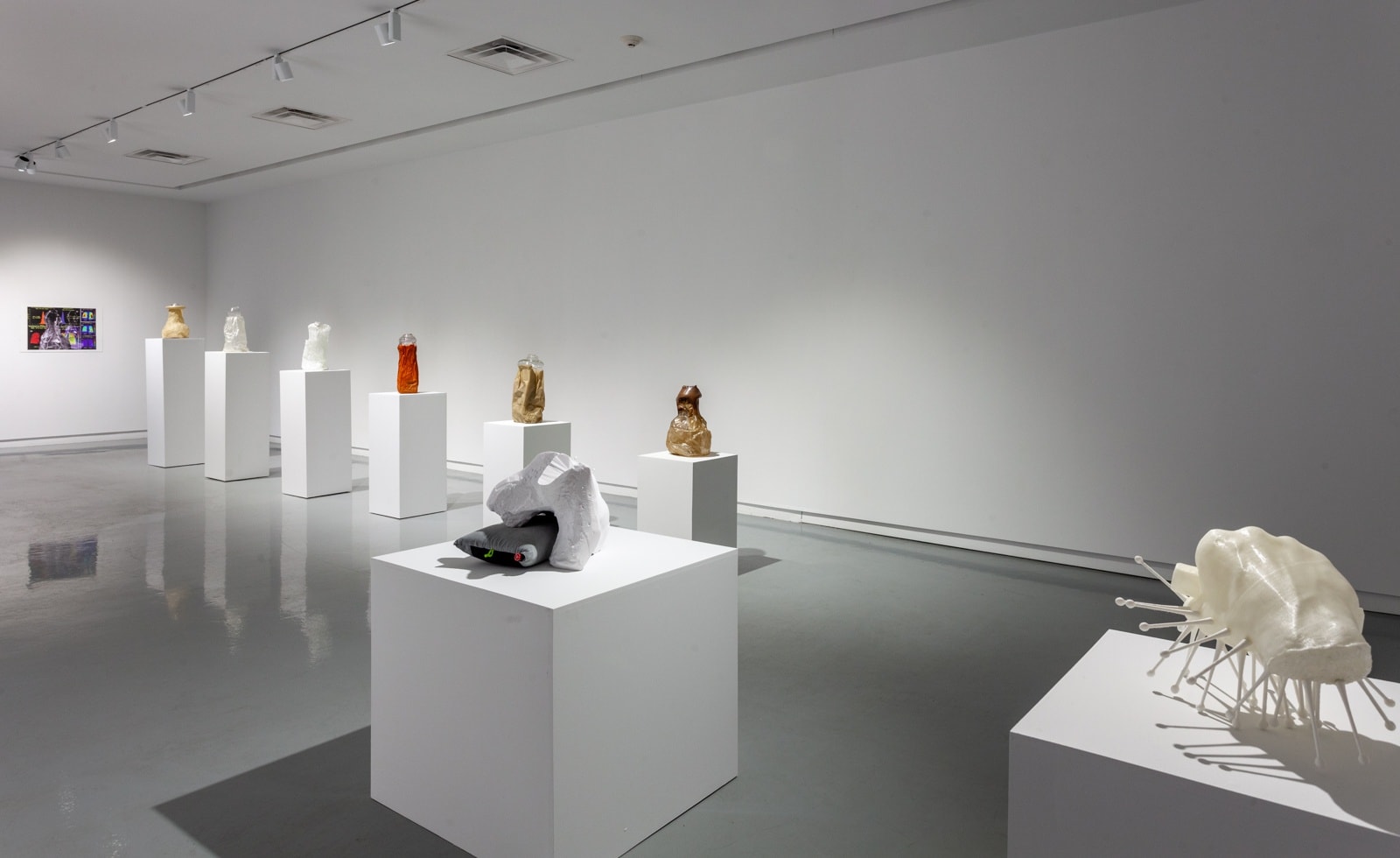 Installation View, Michael Joo, Sensory Meridian, Kavi Gupta | 219 N. Elizabeth St., 2021