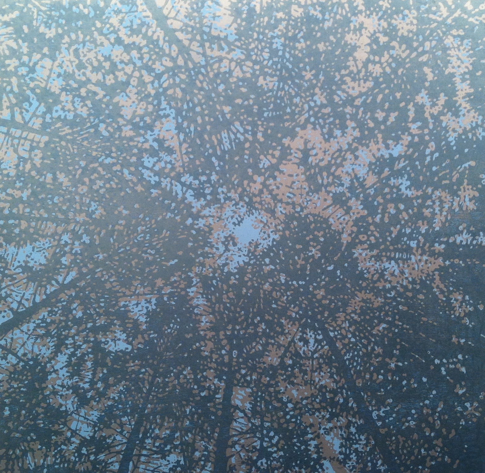 Inventions of Nature