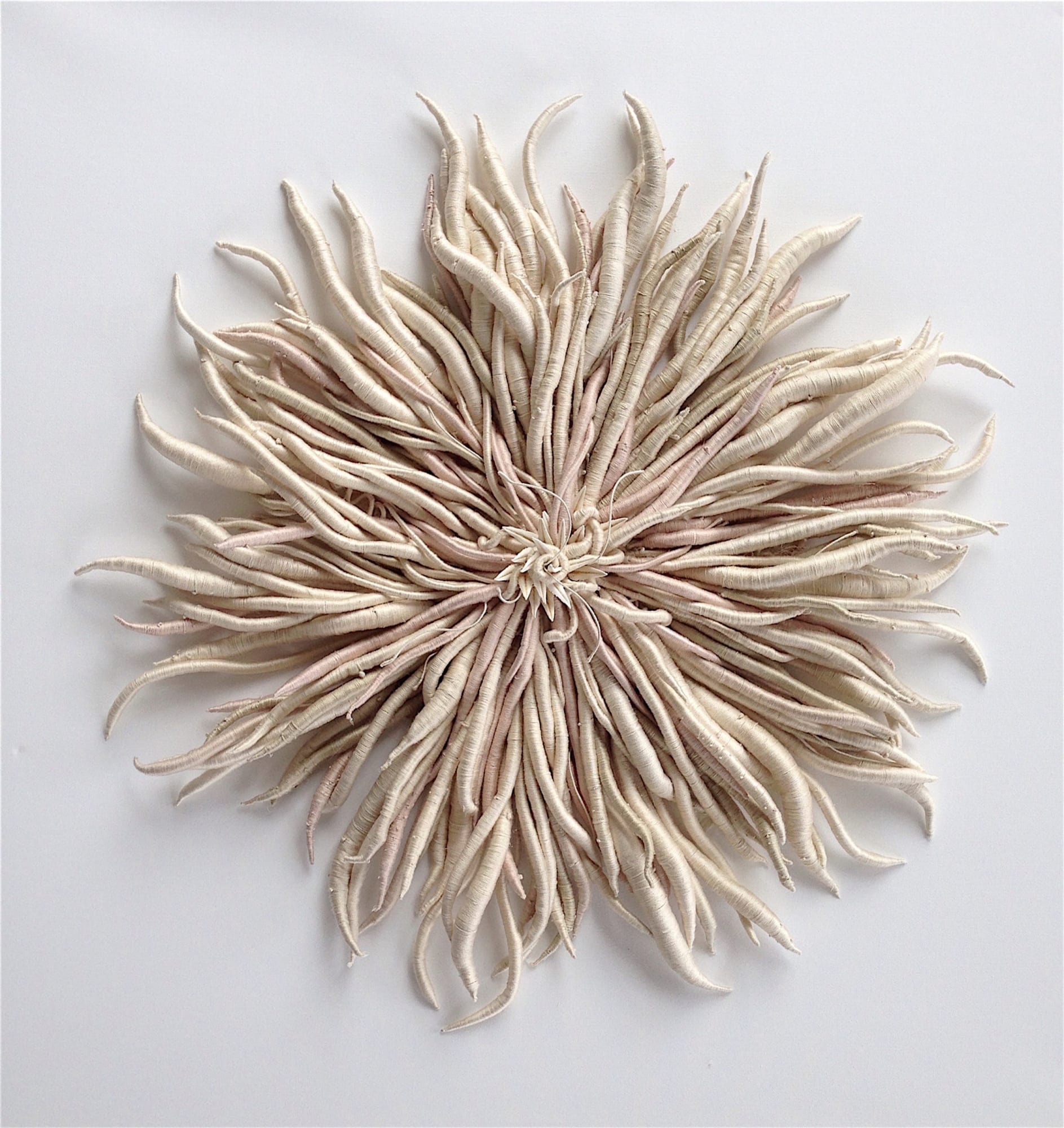 Catherine Latson Specimen 1, 2017