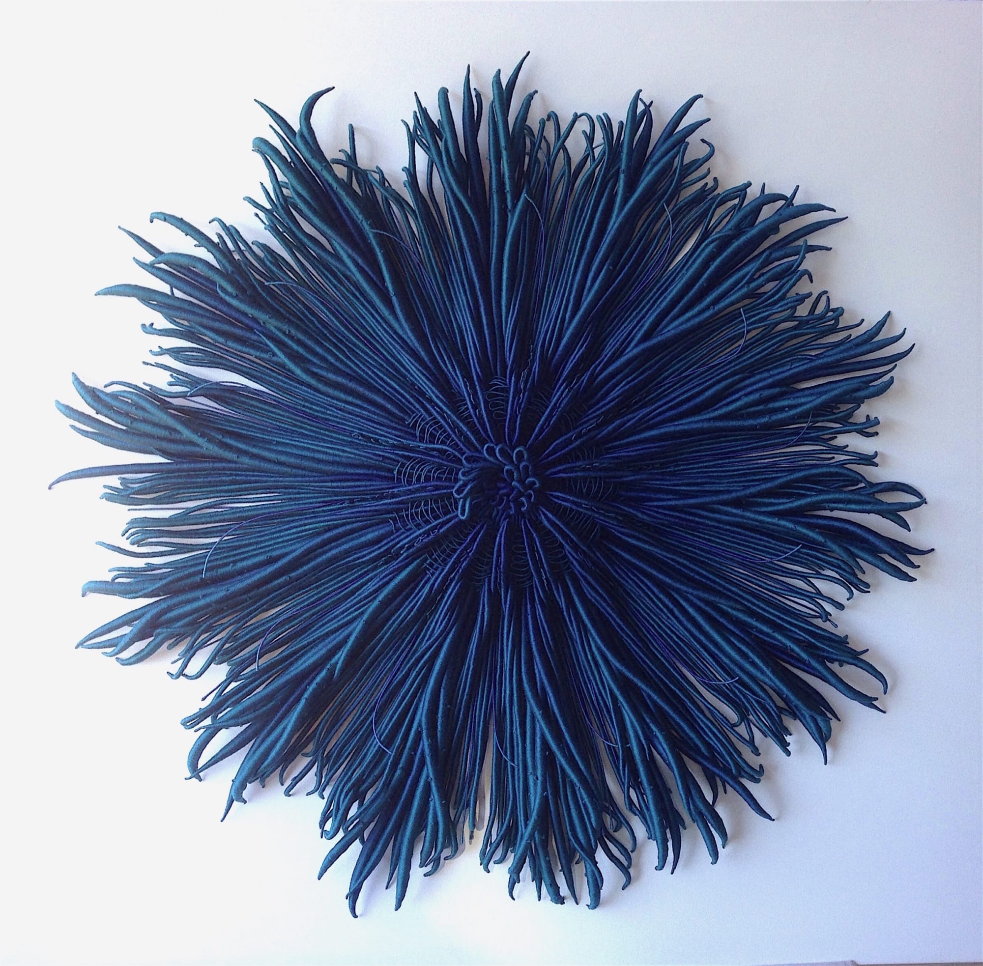 Catherine Latson Specimen 2, 2017