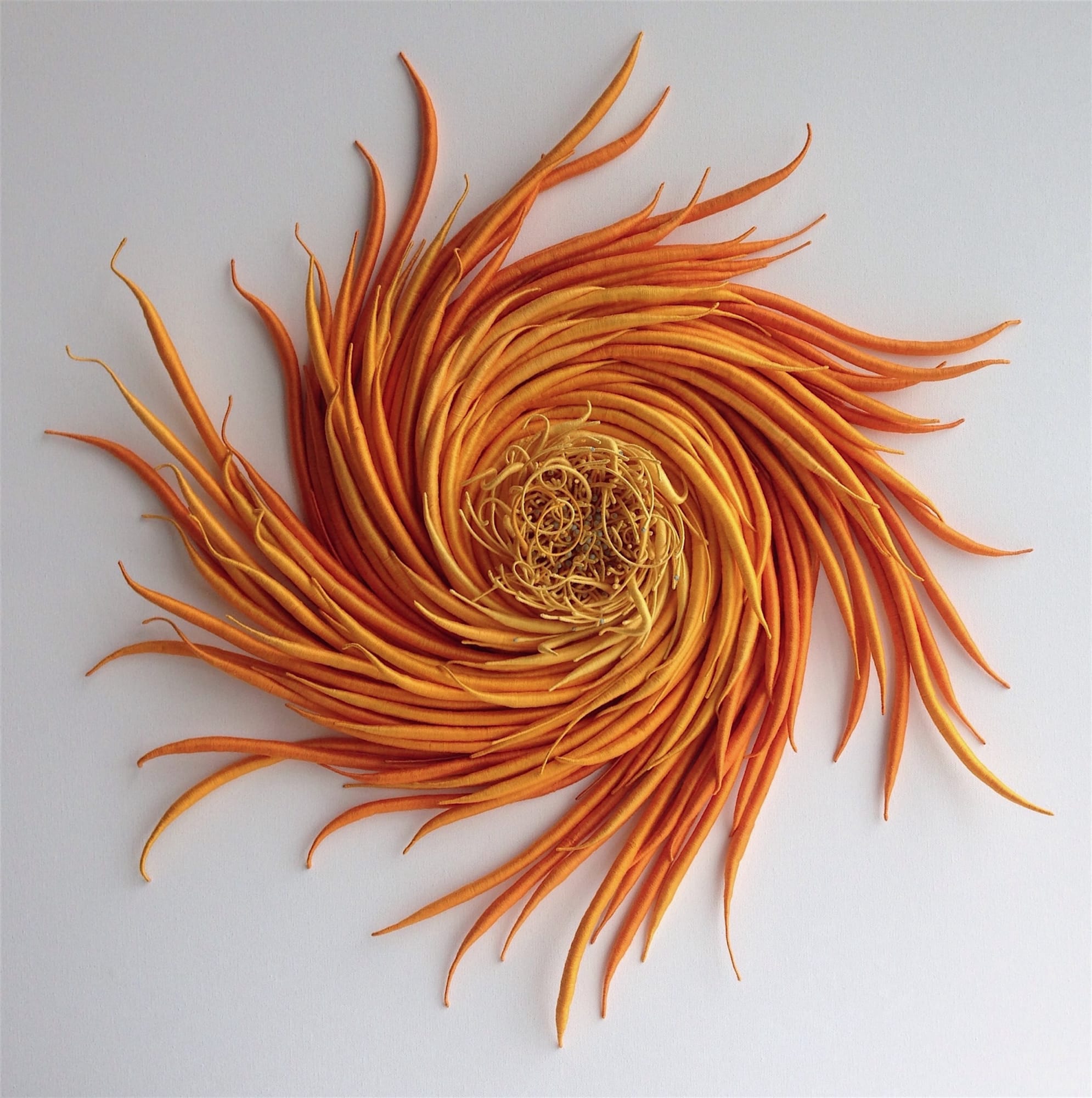 Catherine Latson Specimen 5, 2017