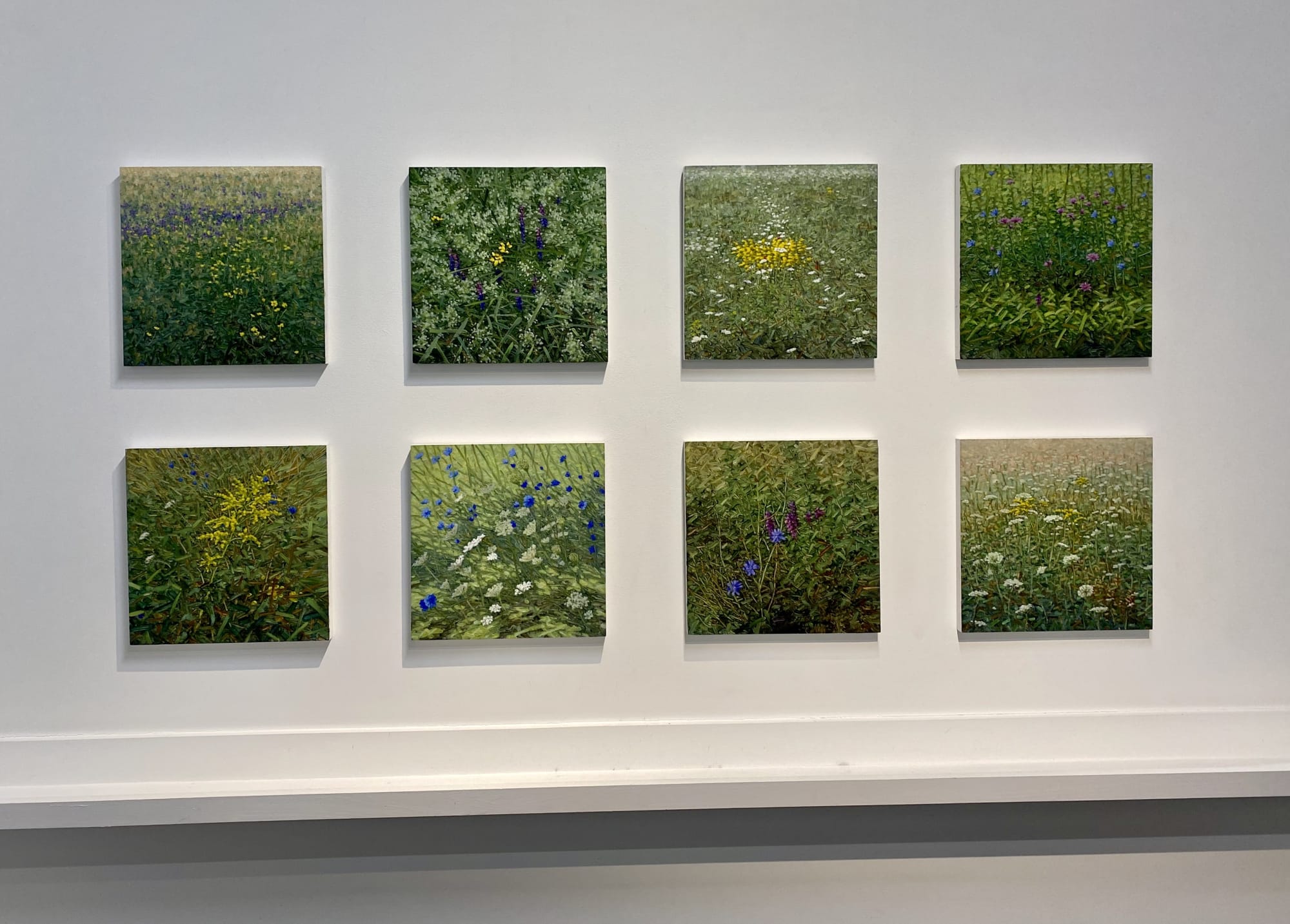 Thomas Sarrantonio and Amy Talluto