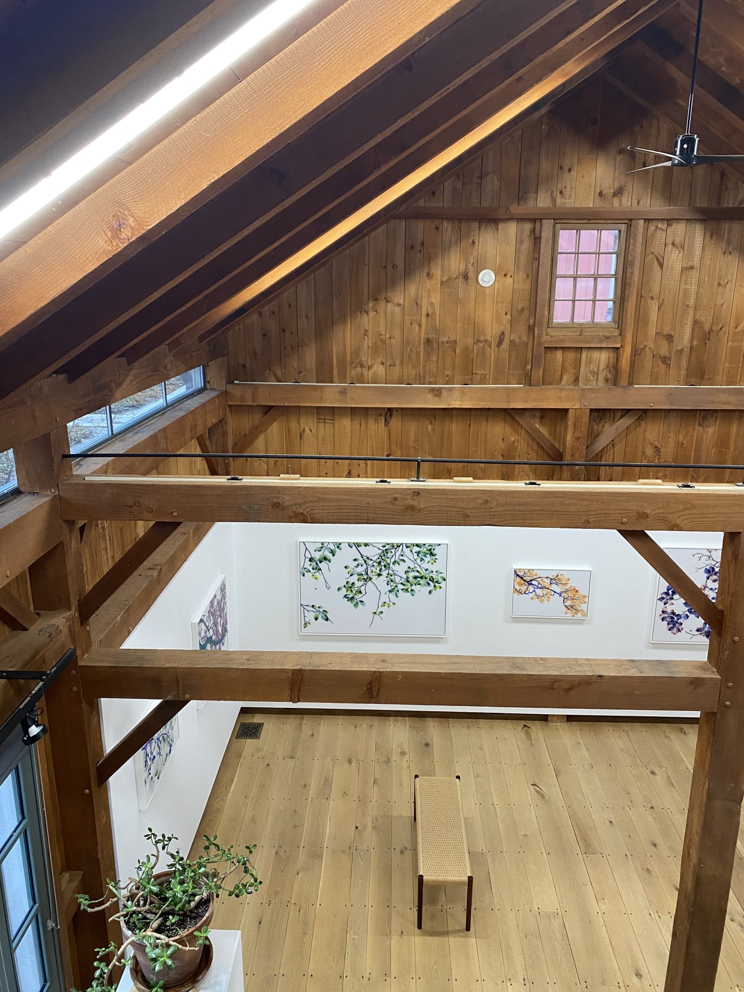 Trees are Poems That The Earth Writes Upon The Sky