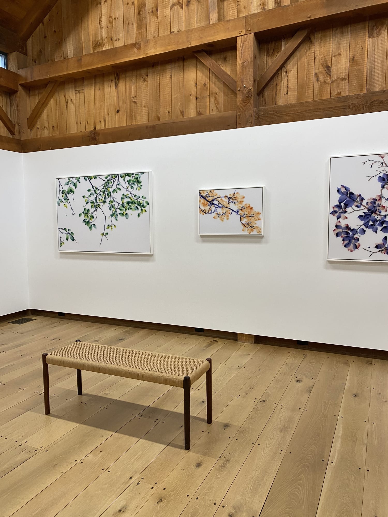 Trees are Poems That The Earth Writes Upon The Sky