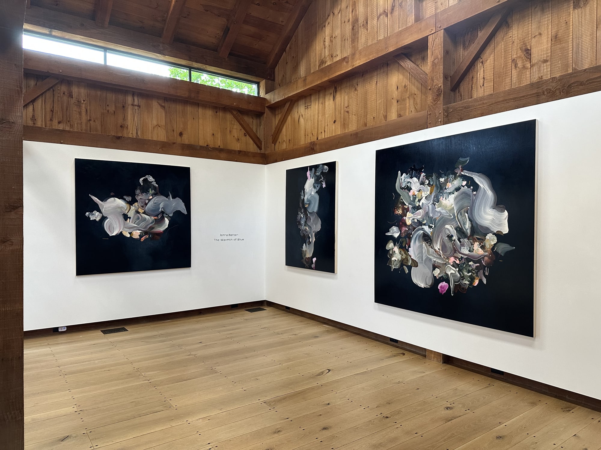 Janna Watson - The Warmth of Blue