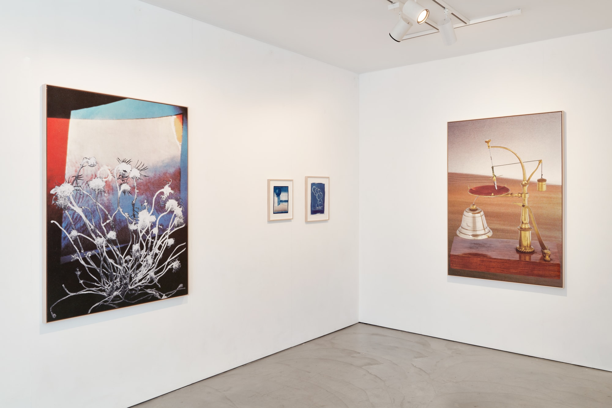 Audrey Guttman, Tsimtsoum