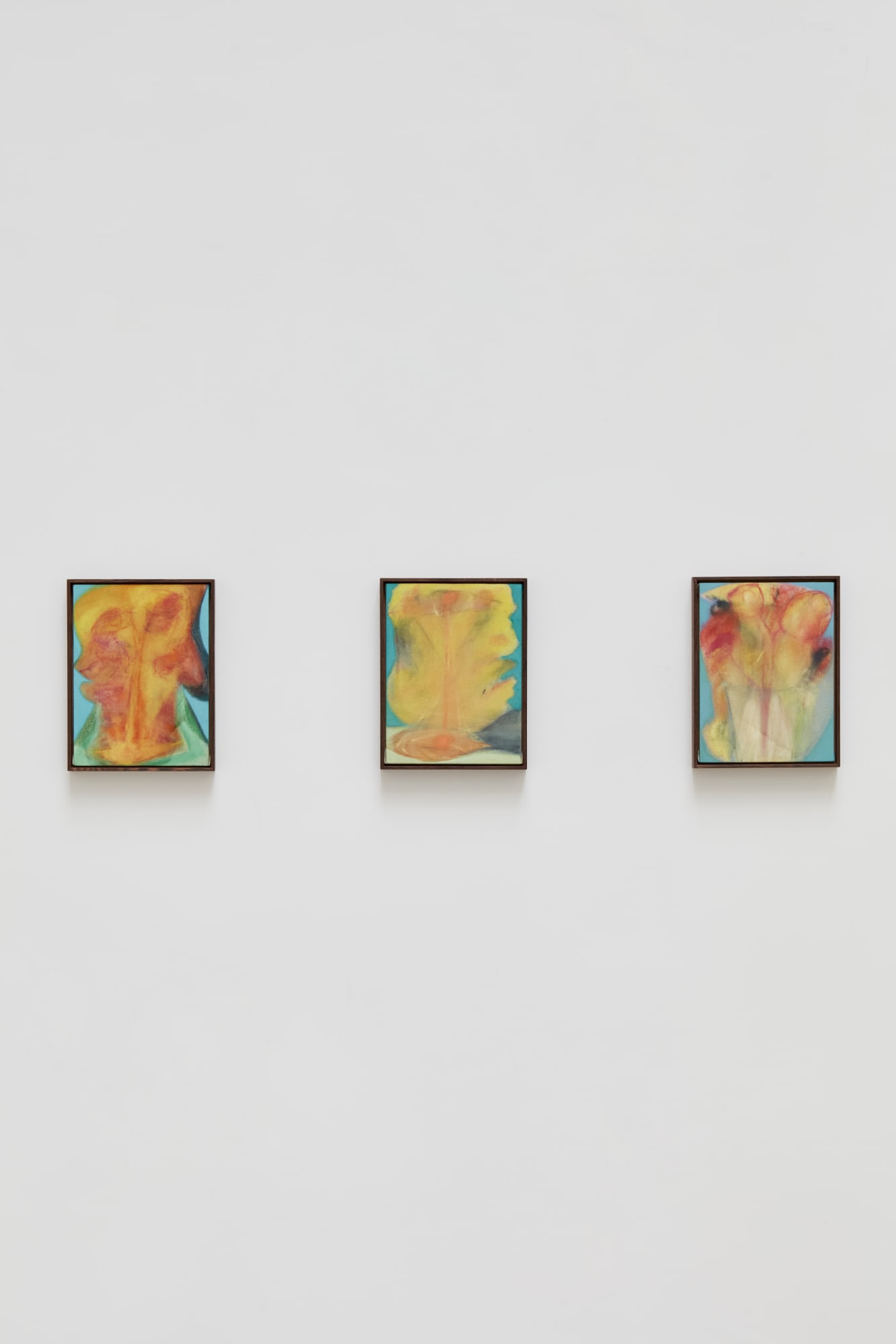 Solitudes - In Alto Colori