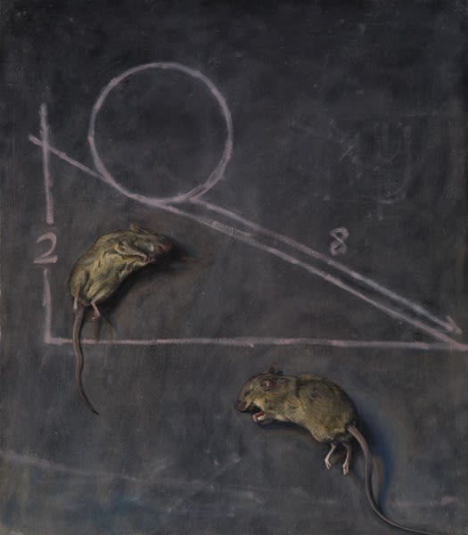 GERALDINE O'NEILL, GRAVITY, 2009