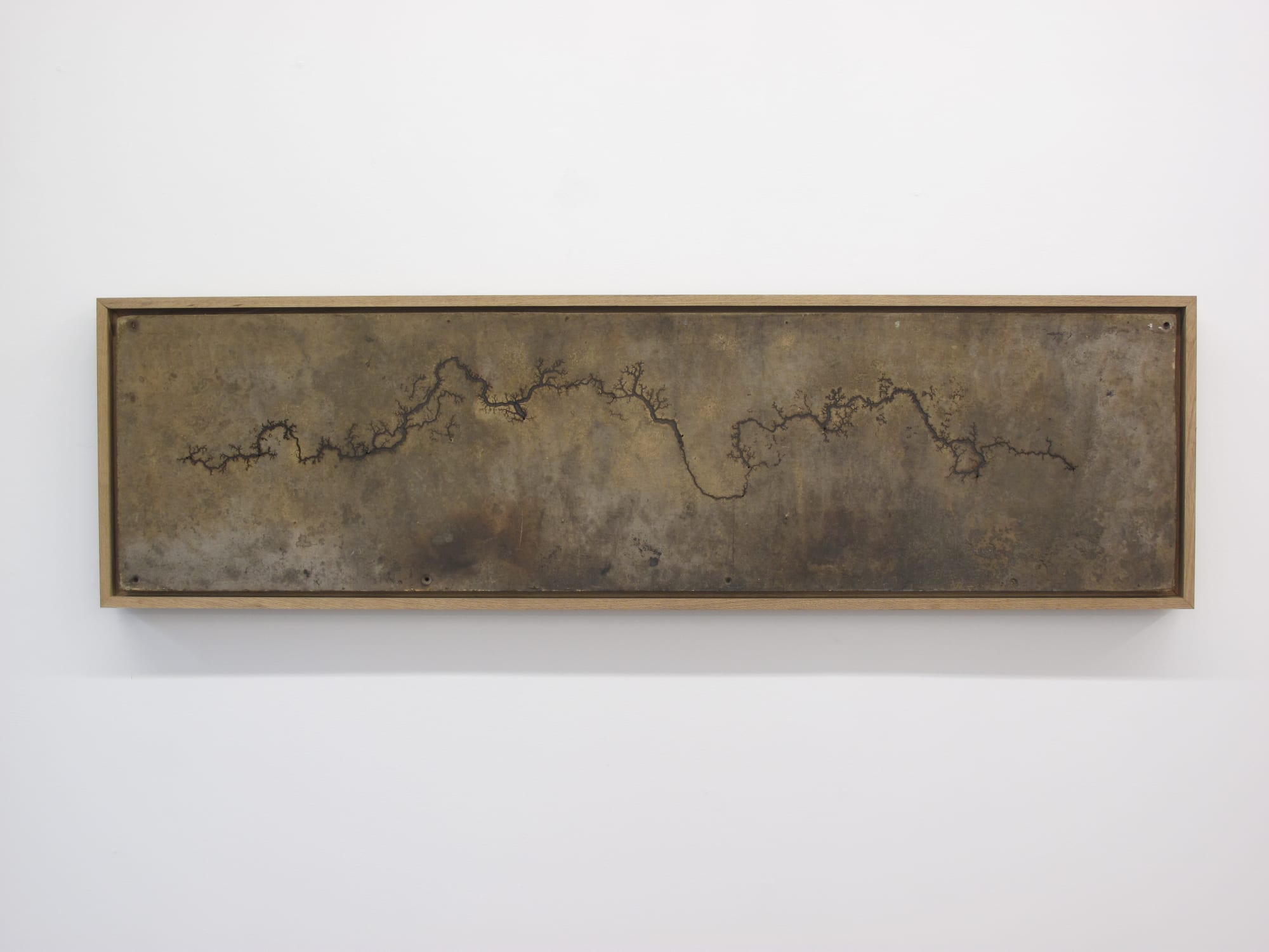 DOUGLAS WHITE, LICHTENBERG DRAWING I, 2010