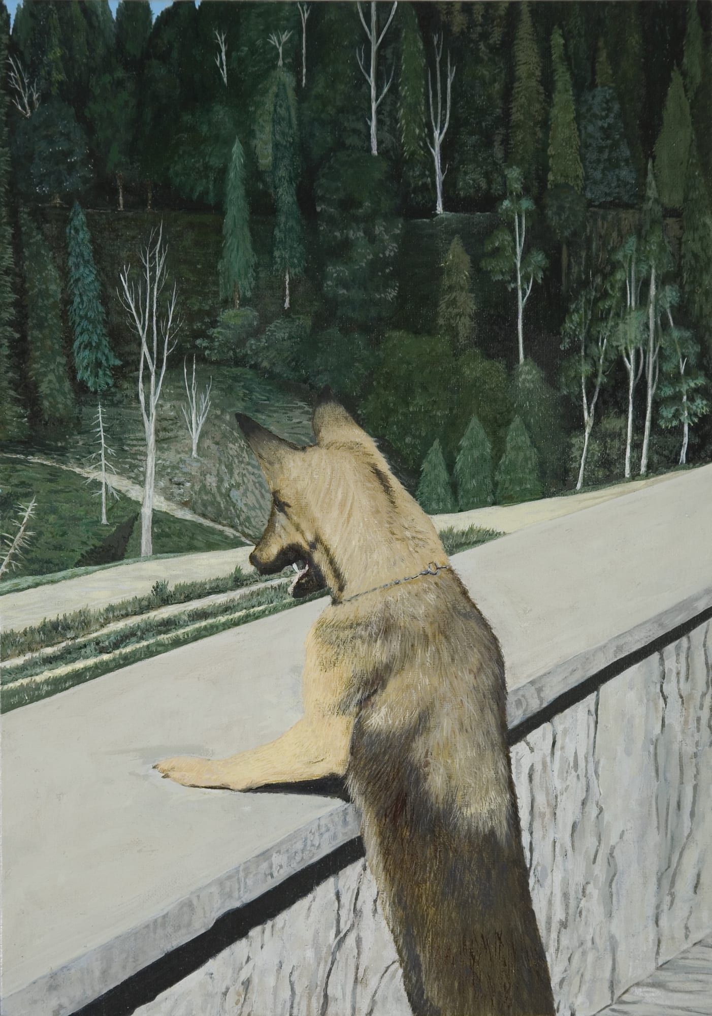 STEPHEN LOUGHMAN, BLONDI, 2009