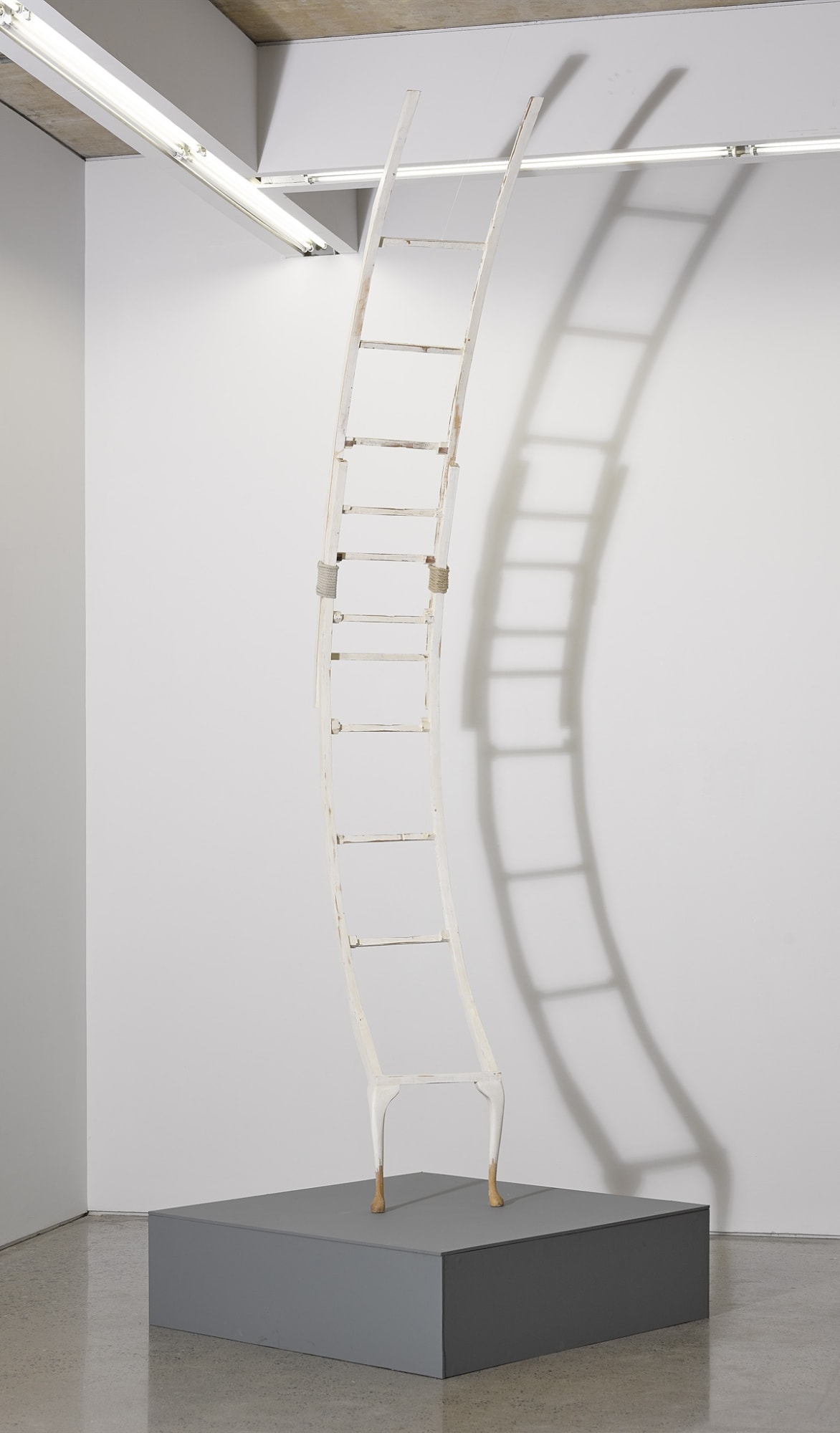 KATHLYN O' BRIEN, ALTERED LIGHT, 2017