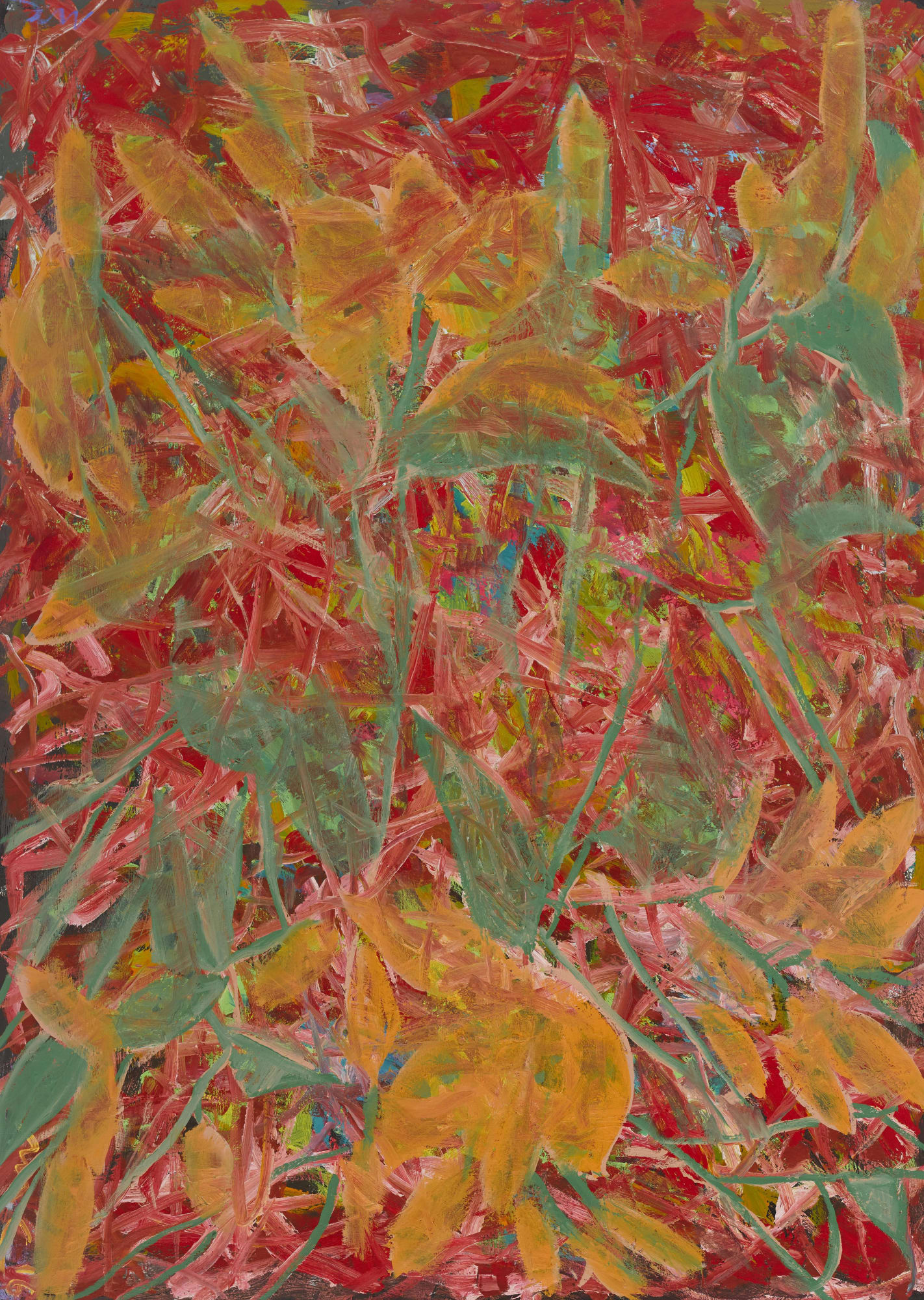 MICHAEL COLEMAN, TIGER LILLIES, 2018