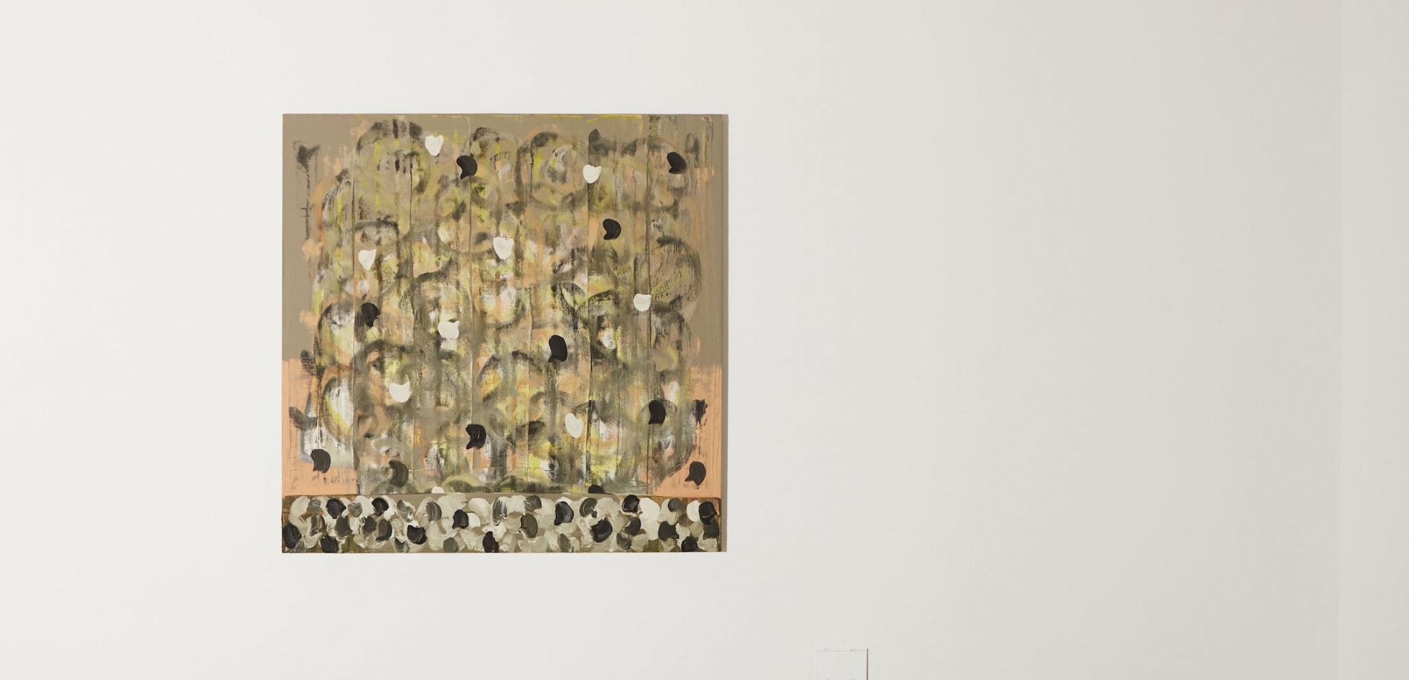 Sinéad Ní Mhaonaigh