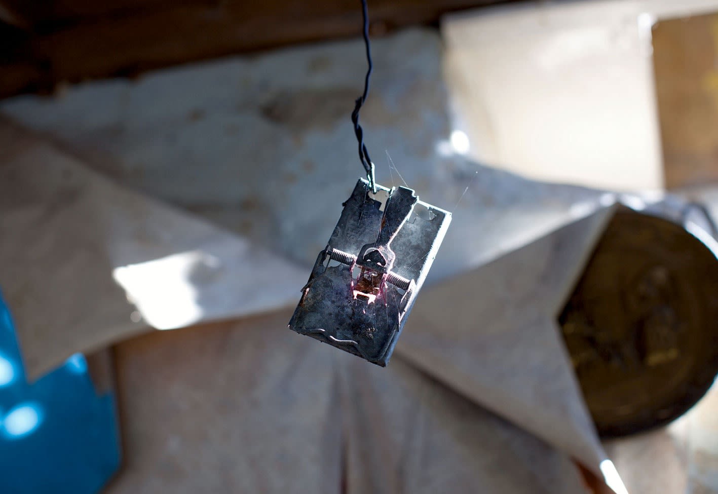 ELAINE BYRNE, OF COURSE WE ALWAYS HAD THEM BOYS AROUND