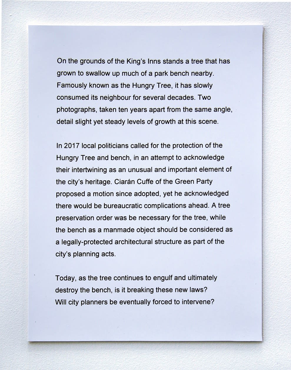 SEAN LYNCH, A MURMUR REPEATED, 2020